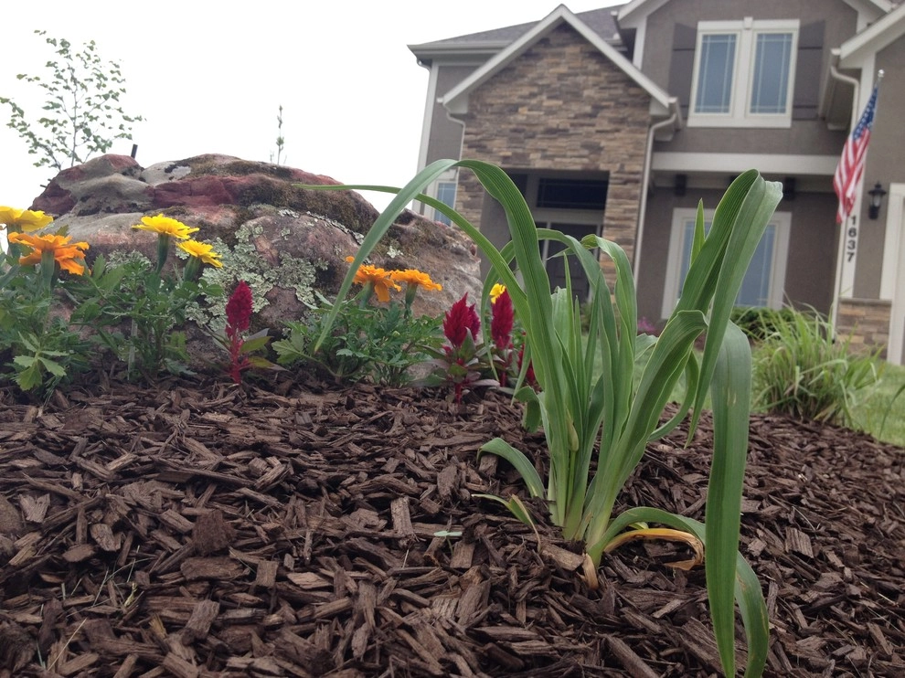 Traditional Landscape in Lee's Summit, MO by Monumental Lawn & Outdoor LLC - Photo 3