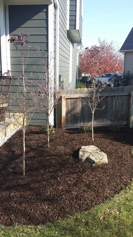 Overland Park, KS Landscape by Monumental Lawn & Outdoor LLC - Photo 2