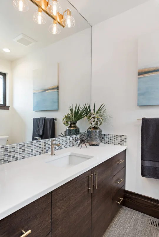 Project 3862 by Alysse Matthews Interiors - Photo 16