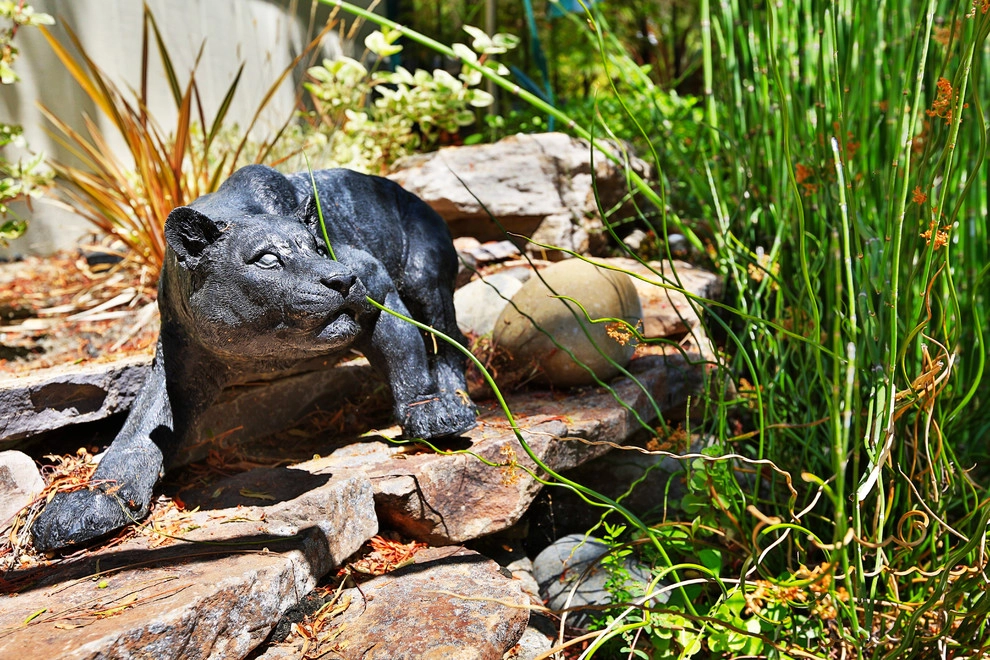 Jungle Land by Camp & Camp Associates-Landscape Architects - Photo 9