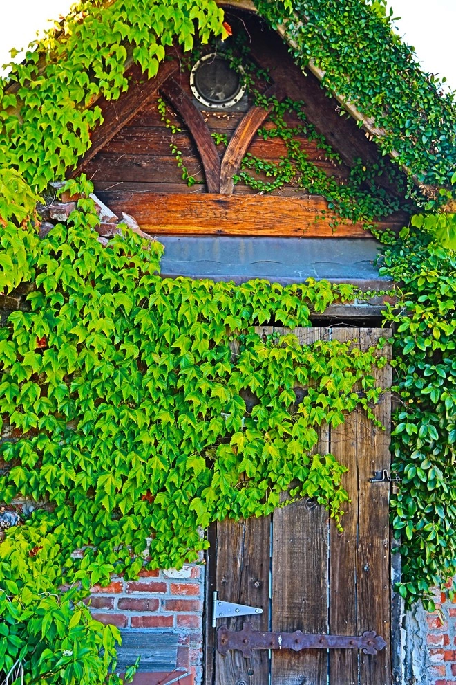 Walnut Creek Rustic Backyard by Camp & Camp Associates-Landscape Architects - Photo 3