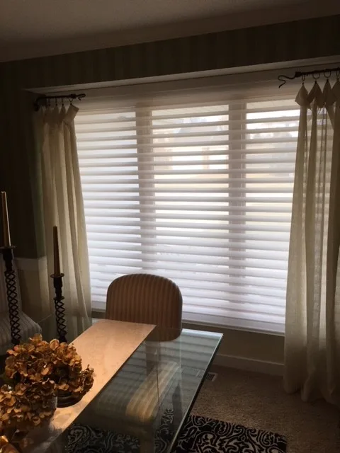 Hunter Douglas Window Treatments by Right Touch Interiors - Photo 5