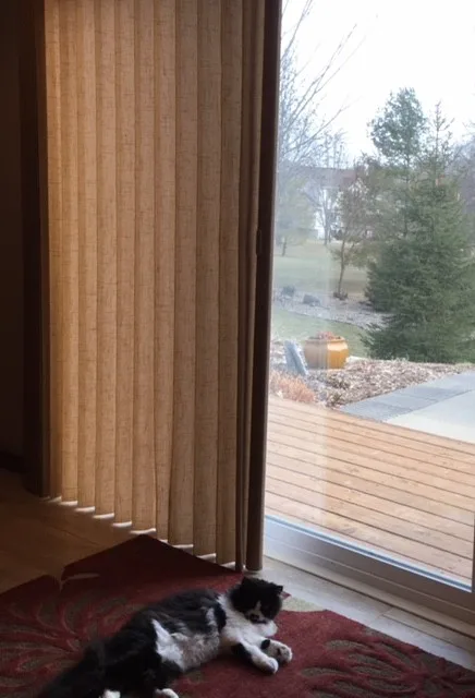 Hunter Douglas Window Treatments by Right Touch Interiors - Photo 3
