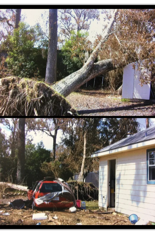 Hurricane Ike Recovery Efforts by Jane Owen Interior Design - Photo 3