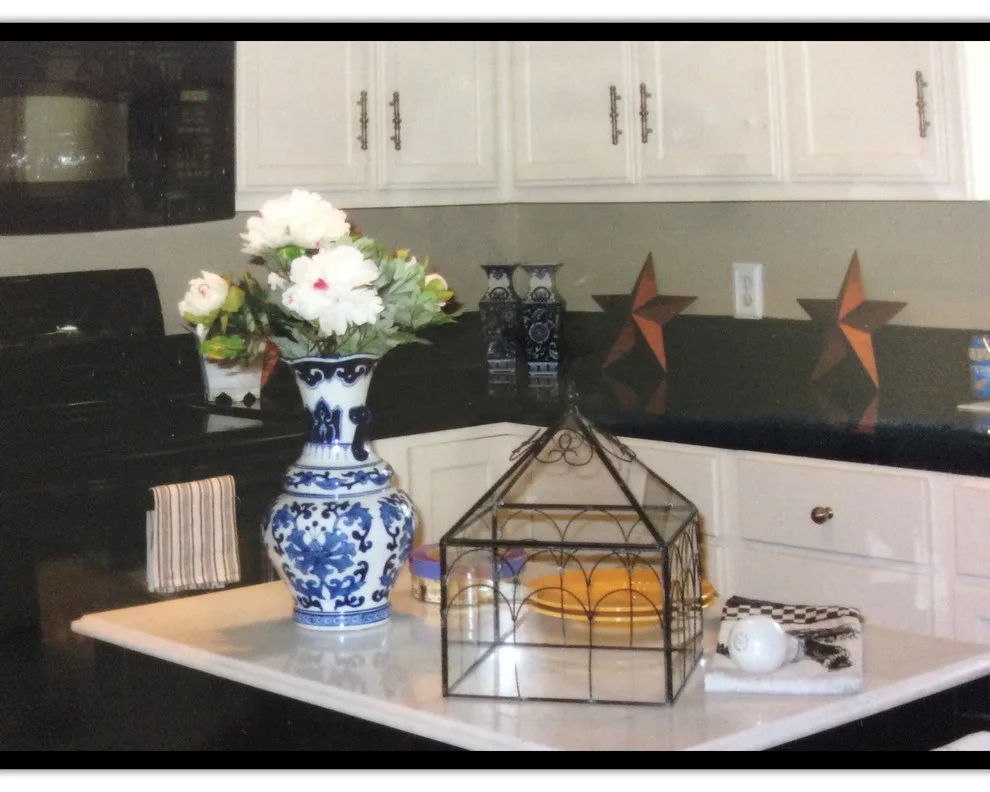 Hurricane Ike Recovery Efforts by Jane Owen Interior Design - Photo 9