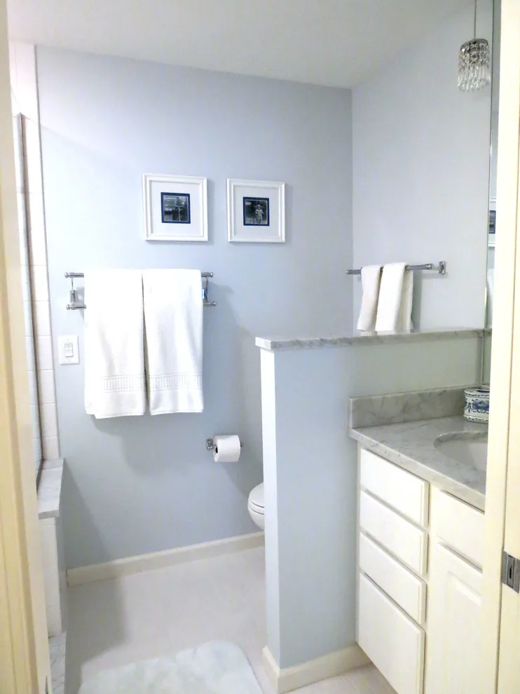 Indianapolis Master Bathroom Renovation by Amethyst Interiors LLC - Photo 3