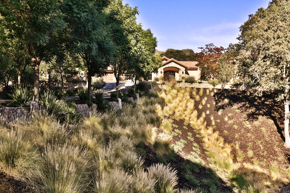 Residential Front Yards by Camp & Camp Associates-Landscape Architects - Photo 5