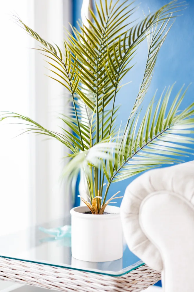 Coastal Isles by A/Revelation Designs - Photo 11