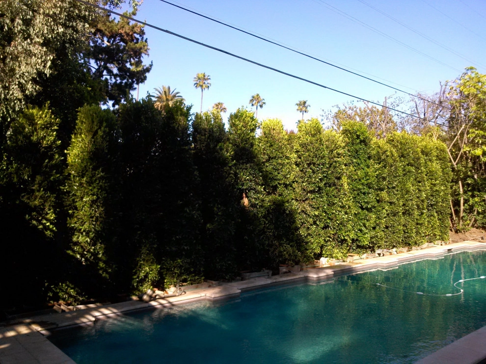 privacy hedge installation by Natur Landscape Creations - Photo 13