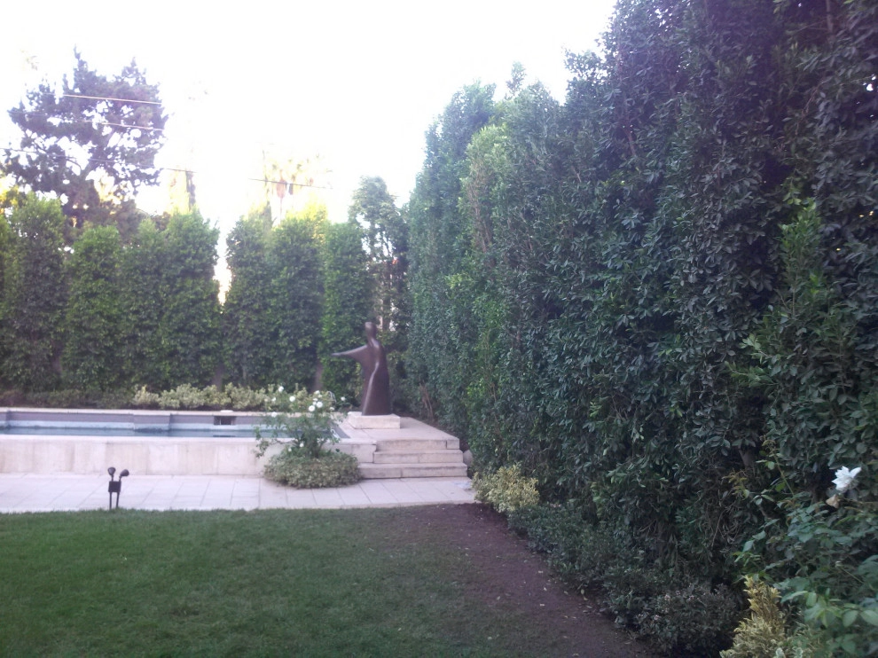 privacy hedge installation by Natur Landscape Creations - Photo 4