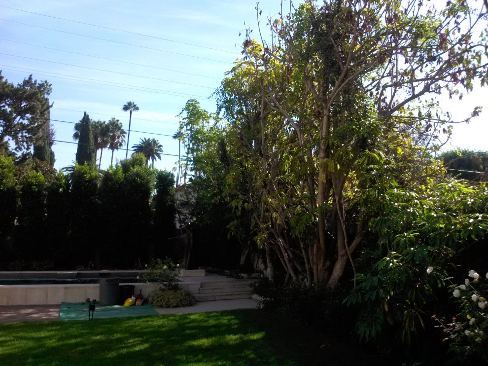 privacy hedge installation by Natur Landscape Creations - Photo 12