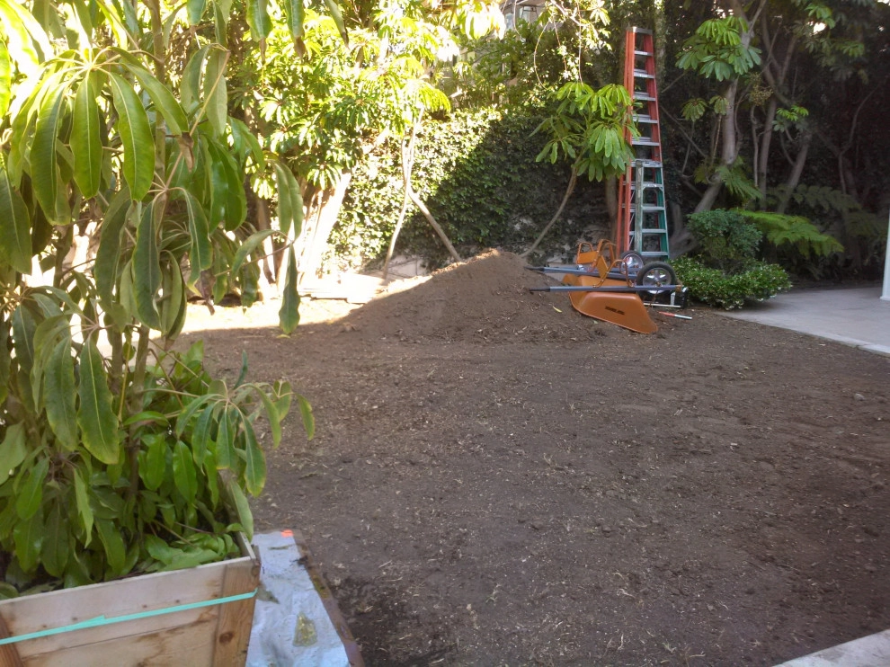 privacy hedge installation by Natur Landscape Creations - Photo 3