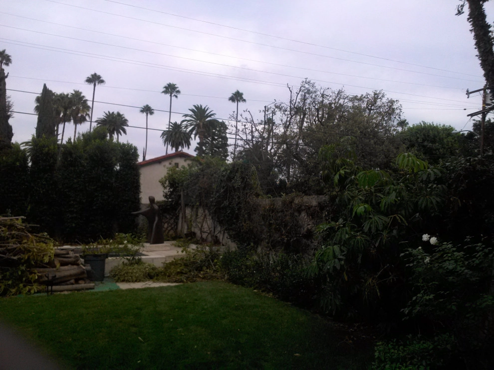 privacy hedge installation by Natur Landscape Creations - Photo 8