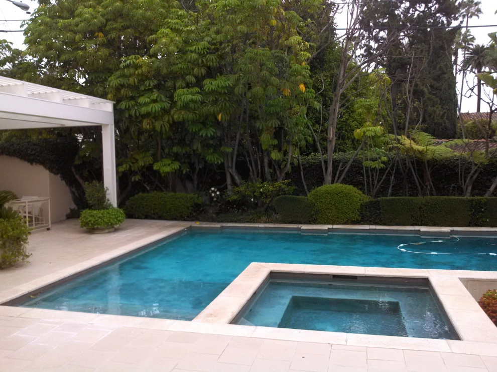 privacy hedge installation by Natur Landscape Creations - Photo 9