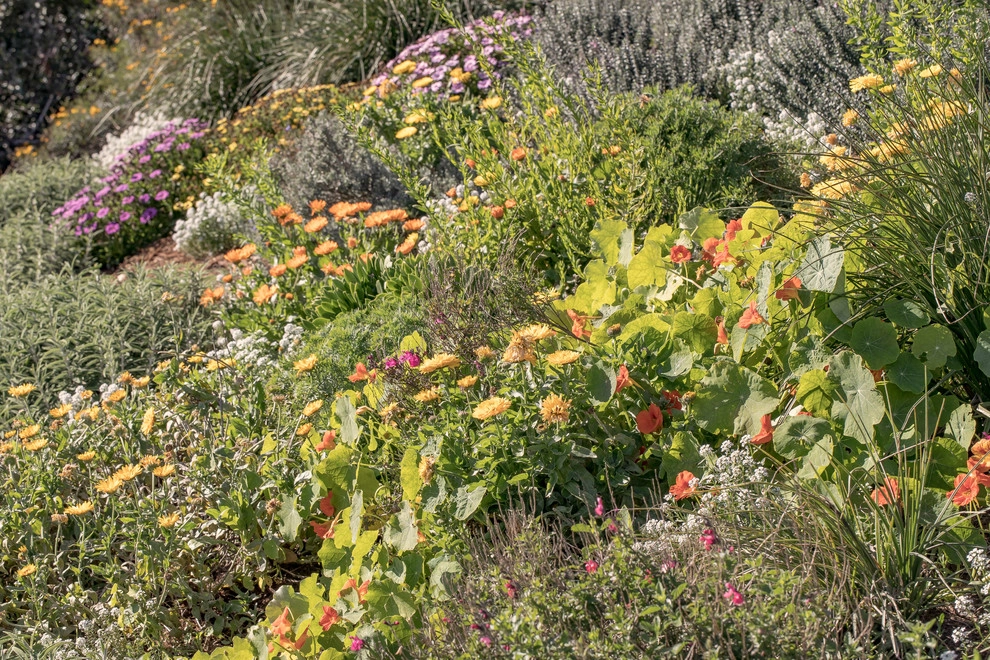 Summerland Beach Terraced Landscape by Natural Concepts Landscaping Contractors - Photo 15