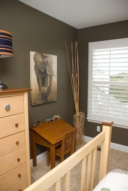 Children's Themed Bedroom by Heather Hannick Designs - Photo 3