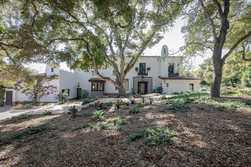 Buena Vista Landscape by Natural Concepts Landscaping Contractors - Photo 16