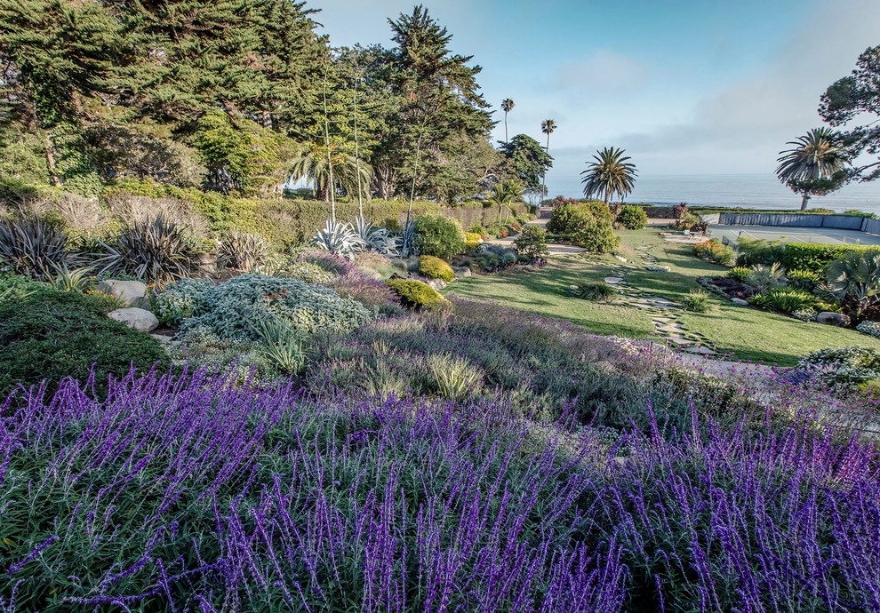 Channel Drive Mediterranean Landscape | Santa Barbara CA by Natural Concepts Landscaping Contractors - Photo 11