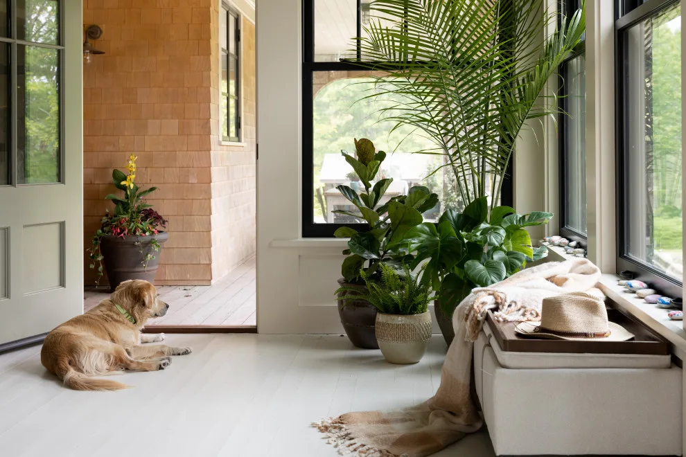 Tom's Royal Farm by Purple Bike Design - Photo 4
