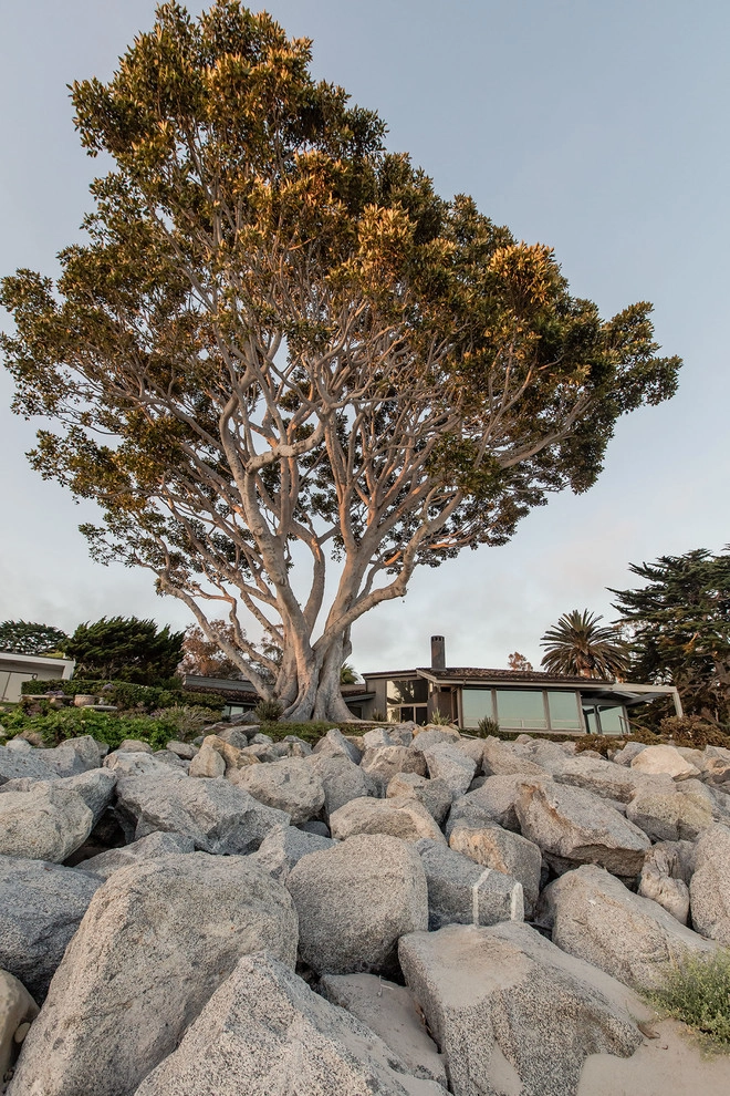 Padaro Beach Landscape + Hardscape by Natural Concepts Landscaping Contractors - Photo 12