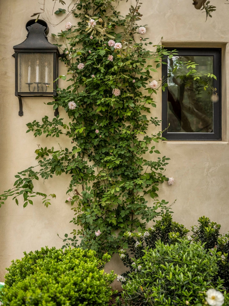 Cold Springs Road Montecito Mediterranean Landscape by Natural Concepts Landscaping Contractors - Photo 24