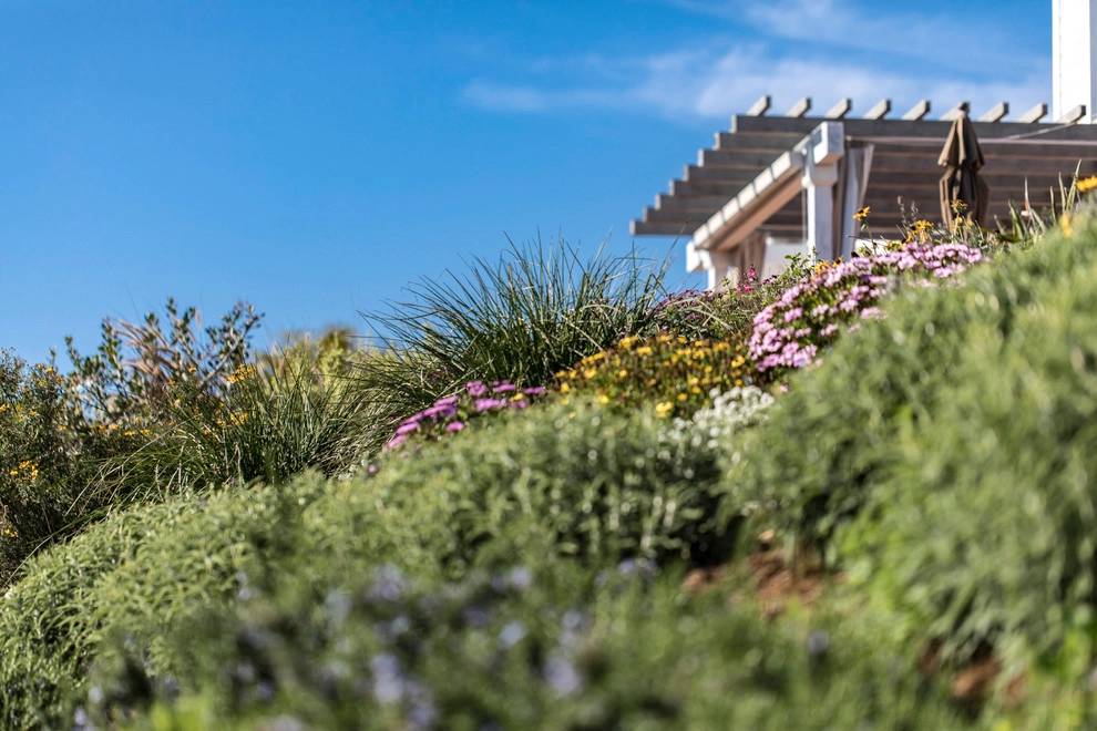 Summerland Beach Terraced Landscape by Natural Concepts Landscaping Contractors - Photo 10