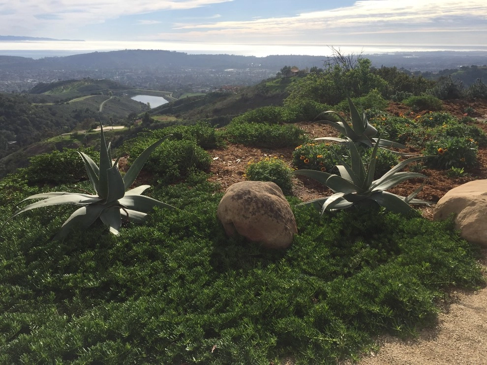 Spyglass ridge by Natural Concepts Landscaping Contractors - Photo 37