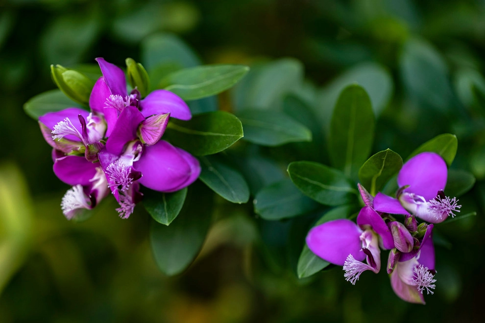 Natural Concepts Landscaping Contractors - Photo 13