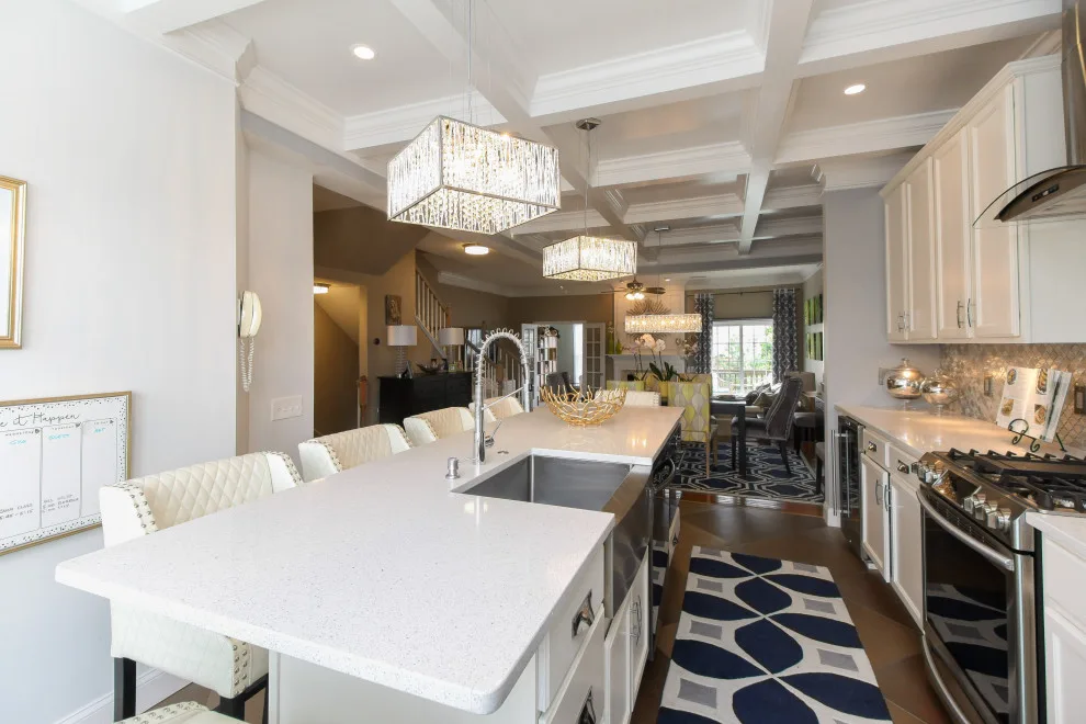 Culinary Space Renovations by Kate Grzymala Design - Photo 9