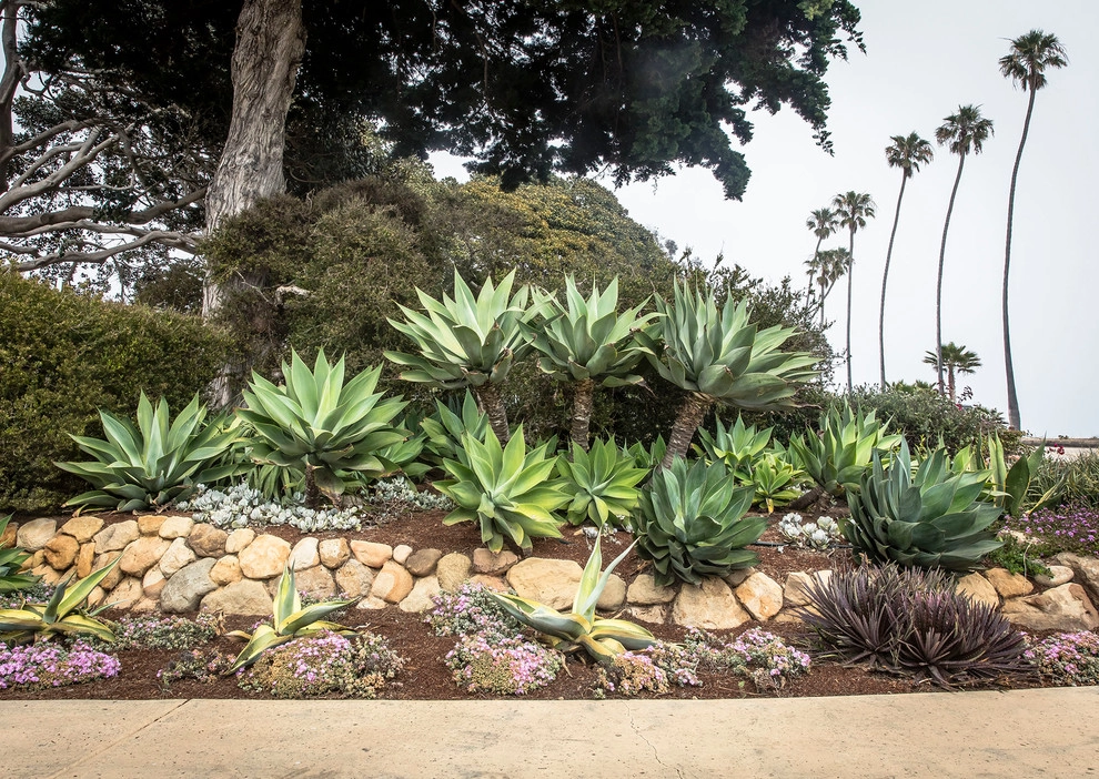 Channel Drive Mediterranean Landscape | Santa Barbara CA by Natural Concepts Landscaping Contractors - Photo 9