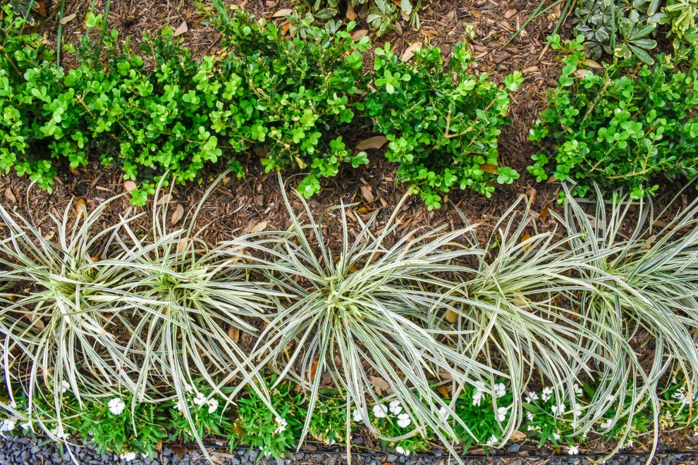 Garden St. by Natural Wonders Landscaping - Photo 8