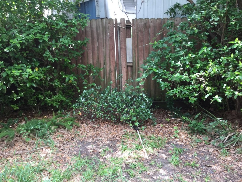 Clean Synthetic Turf by Natural Wonders Landscaping - Photo 12