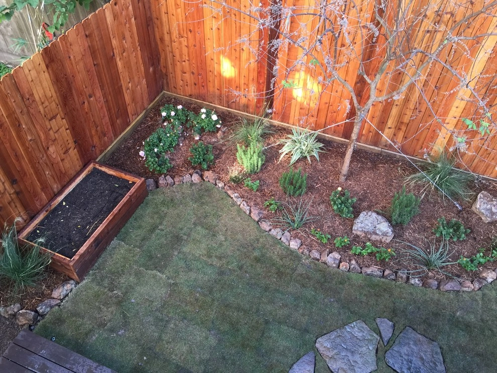 Texas Cedar Landscape by Natural Wonders Landscaping - Photo 4