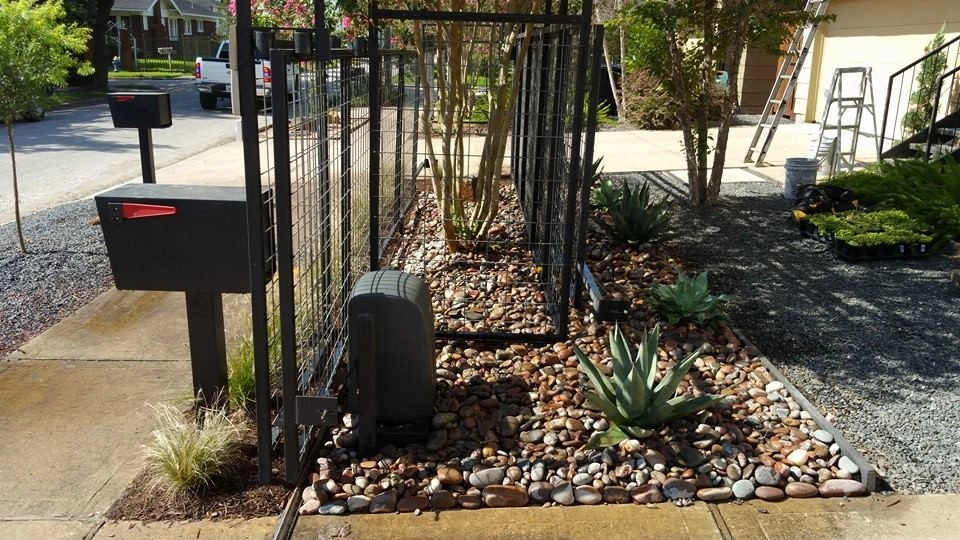 Texas Native Agave by Natural Wonders Landscaping - Photo 2