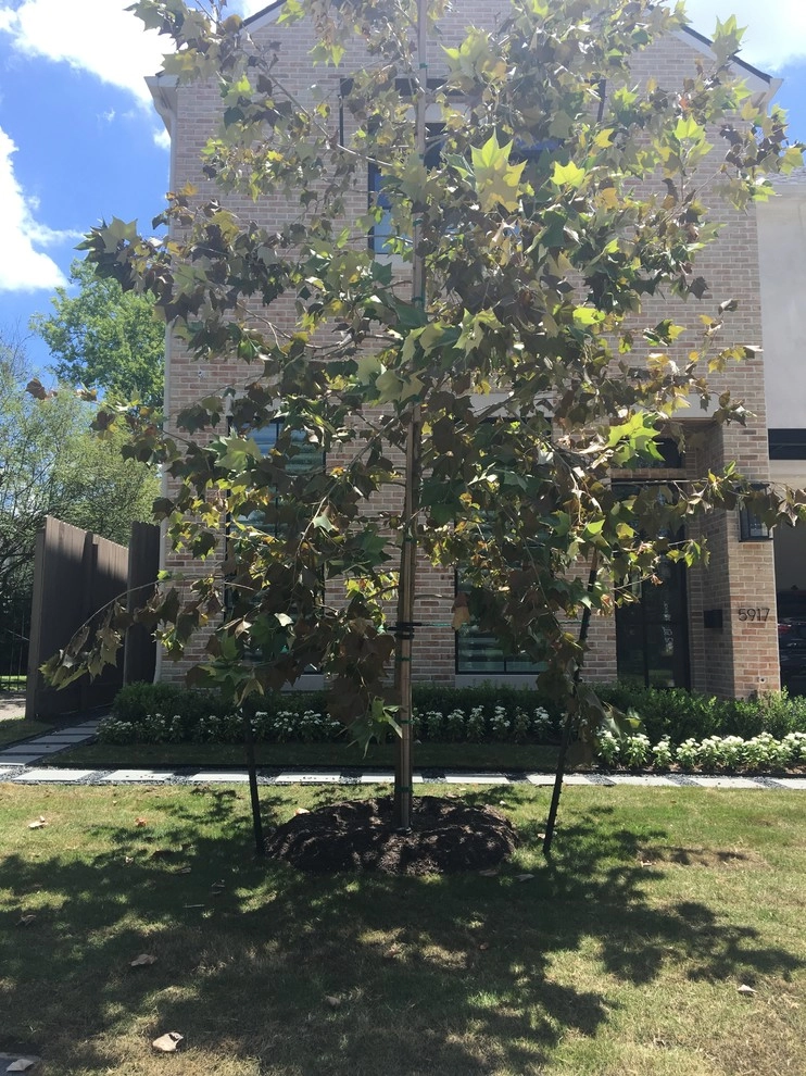 Wakeforest Ln. by Natural Wonders Landscaping - Photo 13