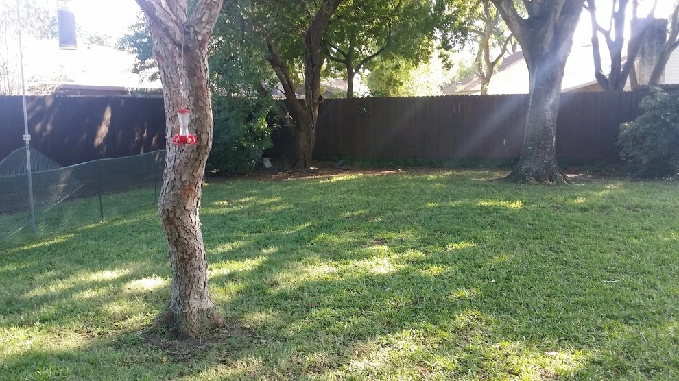 Transitional Lansdcape by Natural Wonders Landscaping - Photo 8