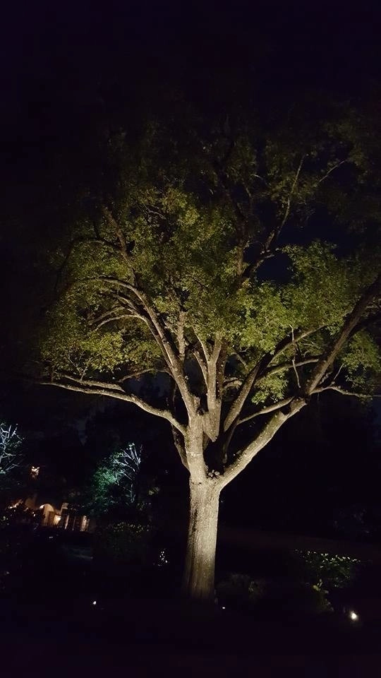 Landscape Lighting by Natural Wonders Landscaping - Photo 2