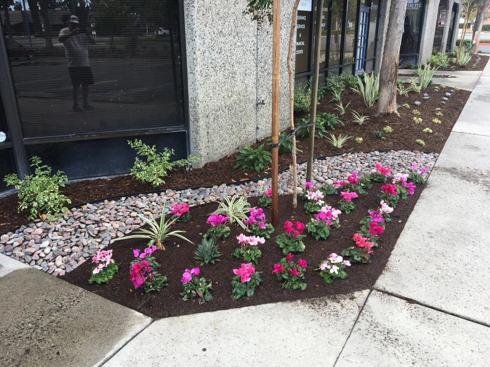 Nature Care Services, Inc. - Photo 5
