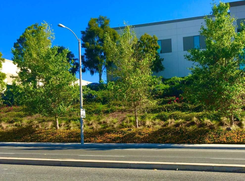 Nature Care Services, Inc. - Photo 8