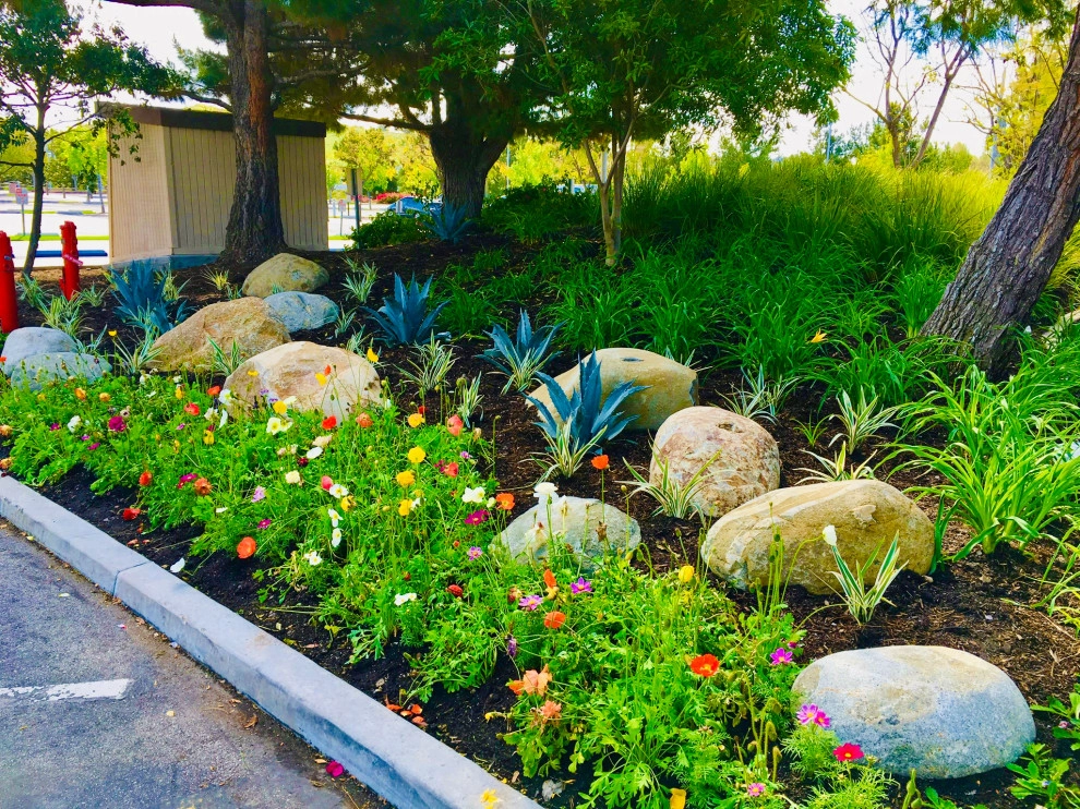 Orange County Customers by Nature Care Services, Inc. - Photo 25