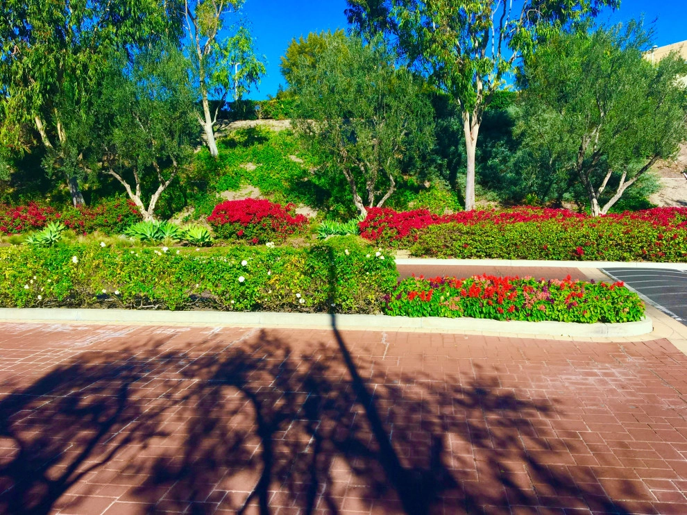 Nature Care Services, Inc. - Photo 4