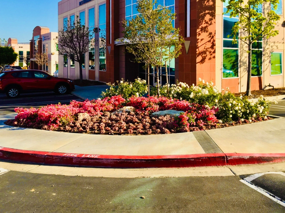 Nature Care Services, Inc. - Photo 14