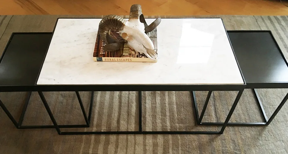Monona Lake Condominium Interior Design by Carol Ferris Interiors - Photo 4