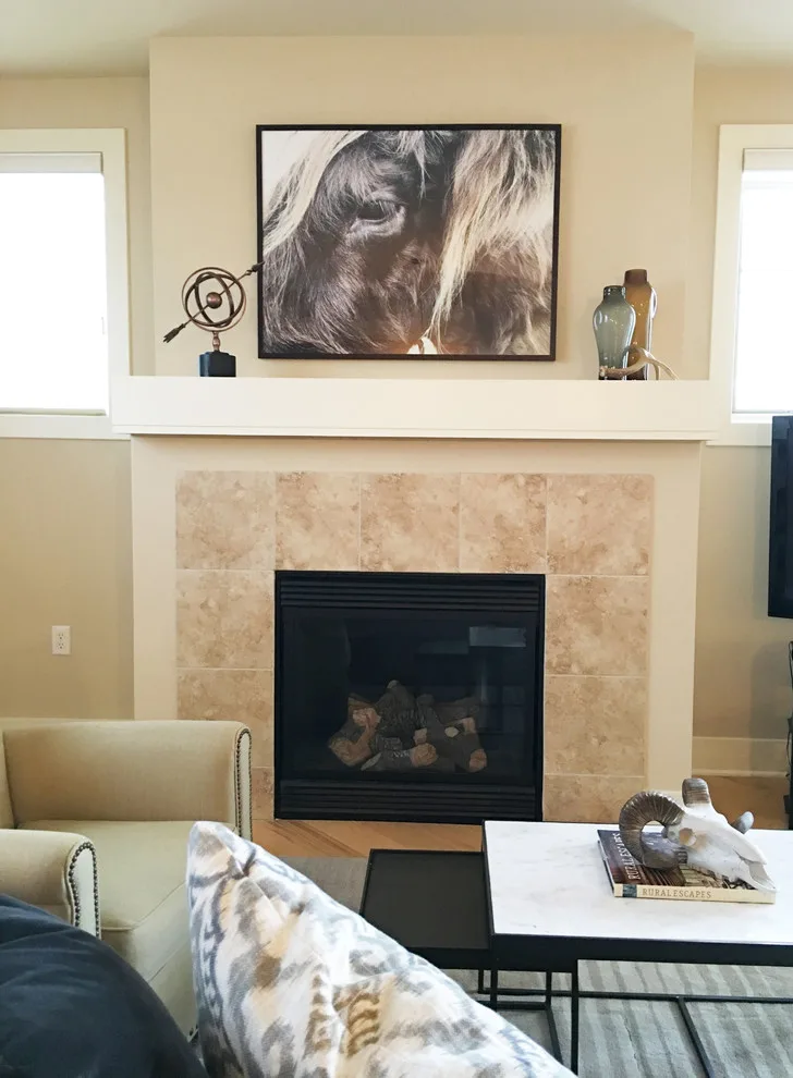 Monona Lake Condominium Interior Design by Carol Ferris Interiors - Photo 8