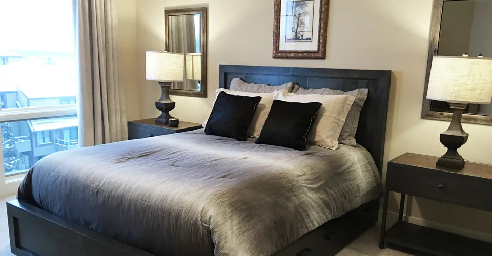 Monona Lake Condominium Interior Design by Carol Ferris Interiors - Photo 2