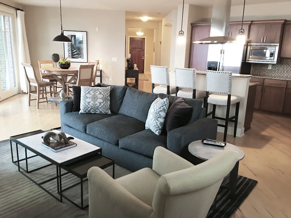 Monona Lake Condominium Interior Design by Carol Ferris Interiors - Photo 3