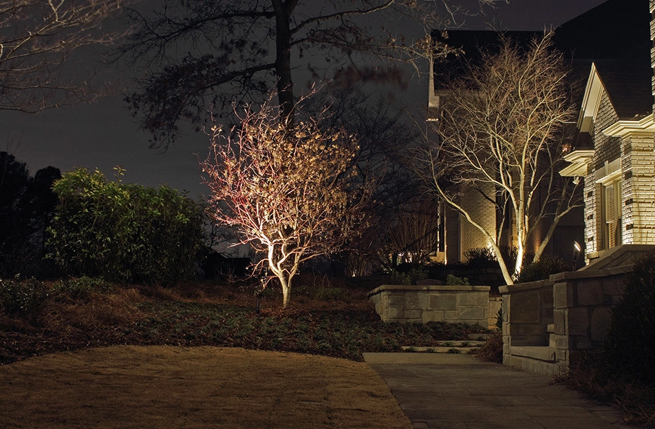 Landscape Lighting by Nature One Landscape Design - Photo 19