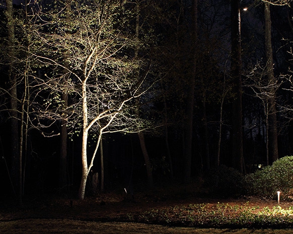 Landscape Lighting by Nature One Landscape Design - Photo 17