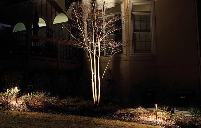 Landscape Lighting by Nature One Landscape Design - Photo 18