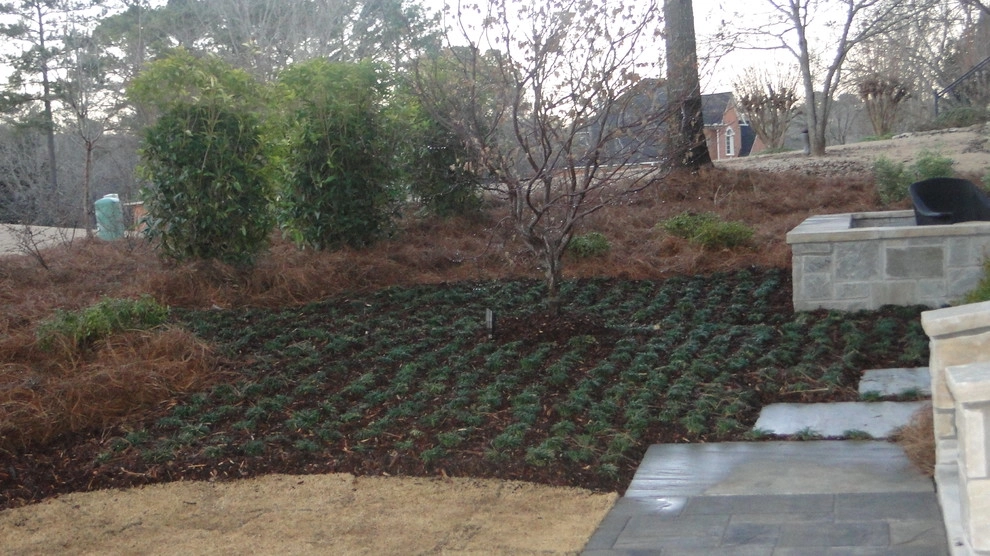 Natural Areas by Nature One Landscape Design - Photo 19